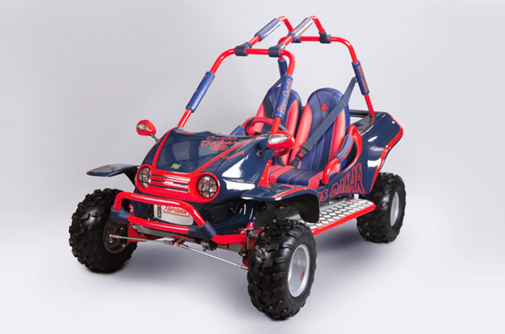 Minicar Ve Culos Mini Buggy Fapinha Cross Dream